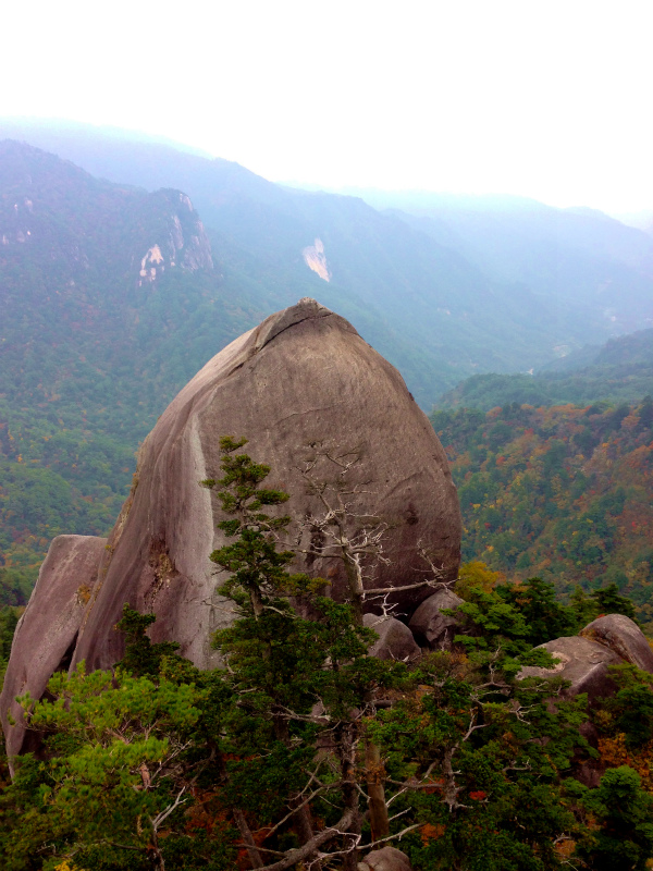 Mountain Running Trip in Kyushu Day.3 大崩山マウンテンランニング_b0220886_199089.jpg