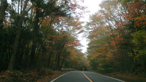 c0047589_20442689.jpg