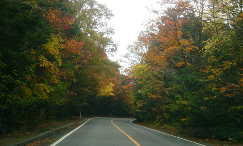 c0047589_2044386.jpg