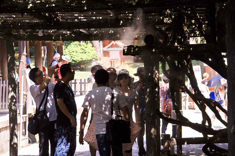 2013.08.12  奈良　興福寺･東大寺･春日大社_f0190989_10515370.jpg