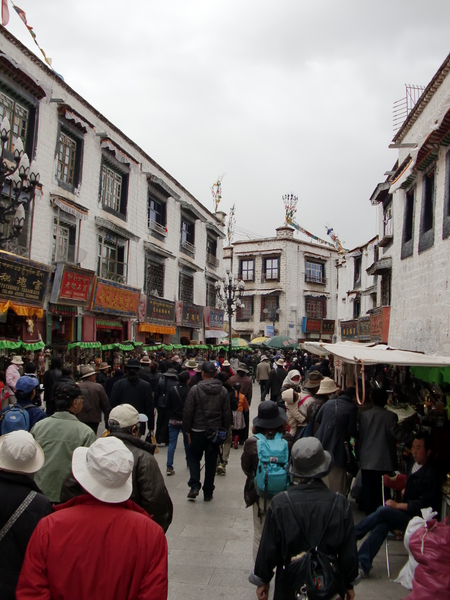 b0015290_991065.jpg