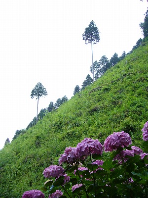a0150991_1126467.jpg