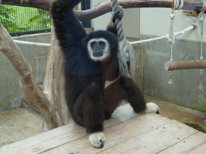 d0190294_16455659.jpg