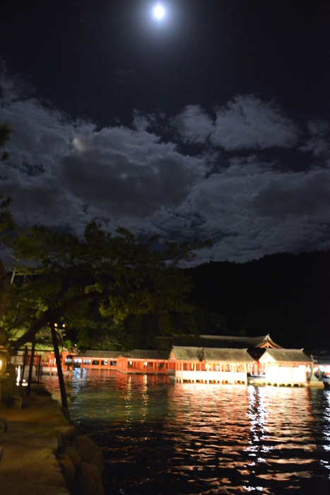 厳島神社観月能の夕べ　The Evening of Moonlight Noh play at Itsukushima Shrine_f0268294_14331776.jpg