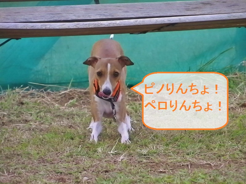 a0284997_21421493.jpg