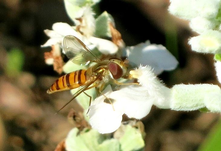 c0119197_13504580.jpg