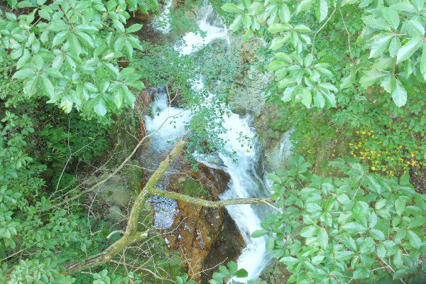 d0080998_2256390.jpg