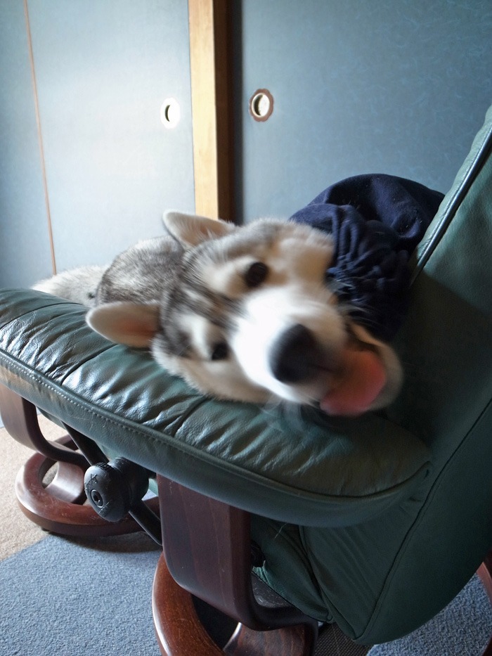 c0049299_207542.jpg