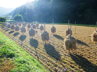 青森県写真_e0077899_22284538.jpg