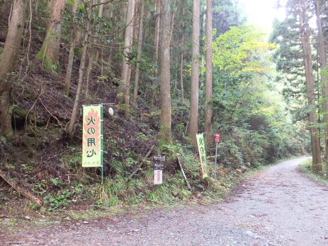 納古山（のこやま）　木和谷（こわたに）林道から_a0271502_10501613.jpg