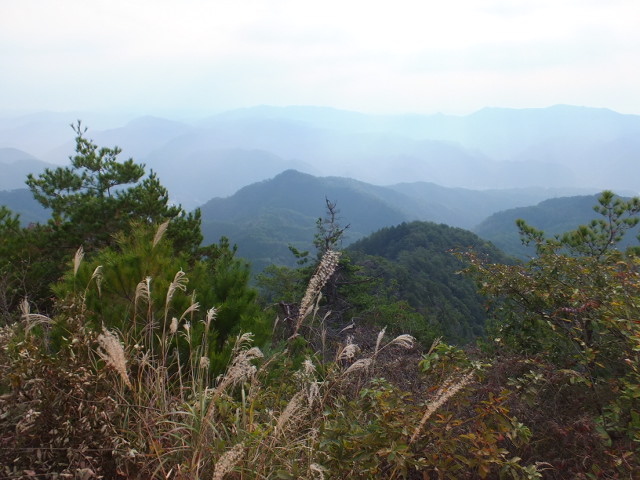 a0271502_1114597.jpg