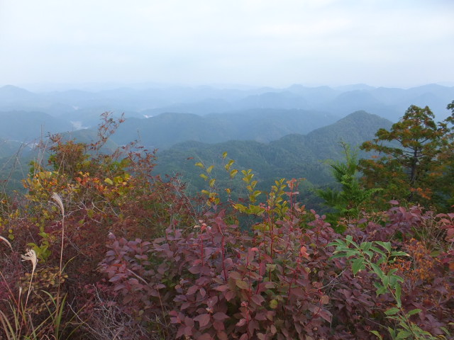 納古山（のこやま）　木和谷（こわたに）林道から_a0271502_1115483.jpg