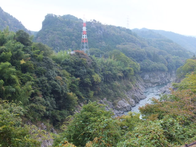 納古山（のこやま）　木和谷（こわたに）林道から_a0271502_11374216.jpg