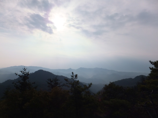 納古山（のこやま）　木和谷（こわたに）林道から_a0271502_114345.jpg