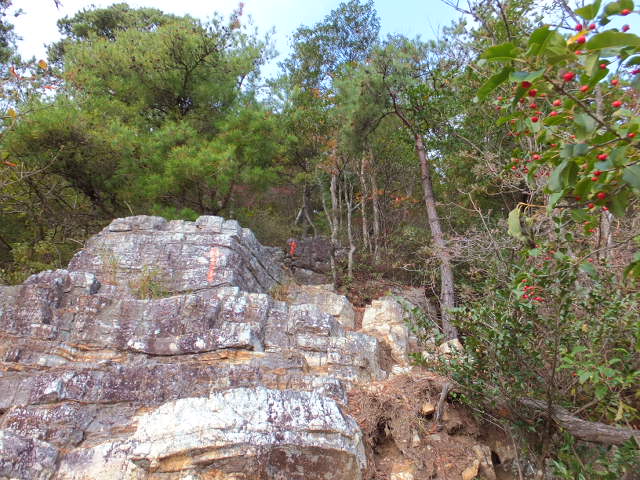 a0271502_1162356.jpg