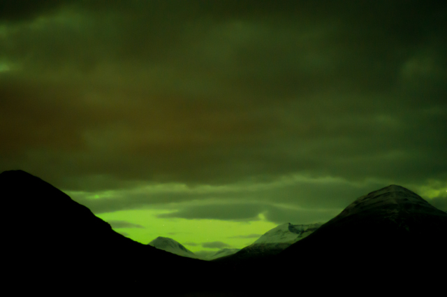 c0005102_20153531.jpg