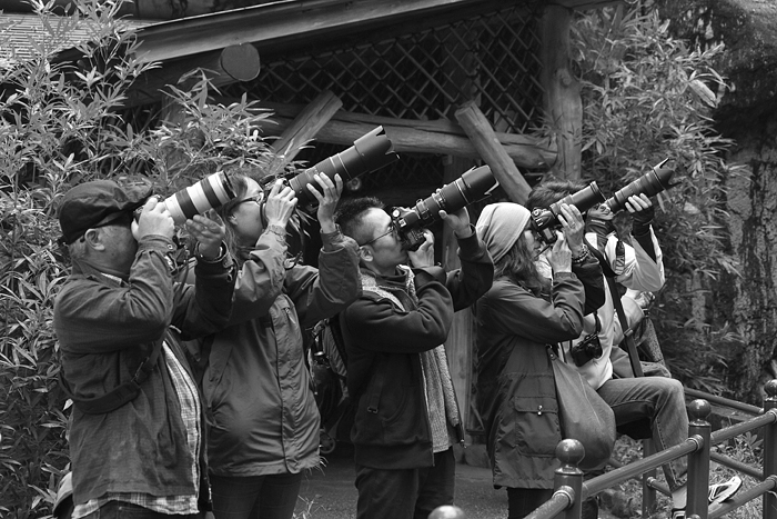 【活動記録】多摩動物園遠足！_b0142405_18362653.jpg