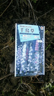 c0280206_11223925.jpg