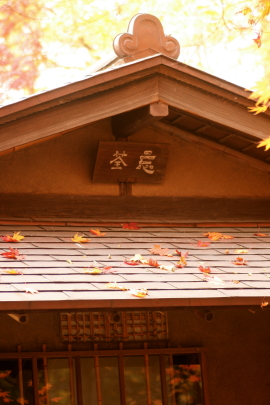 f0041606_19231370.jpg