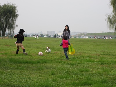 a0122208_1334938.jpg