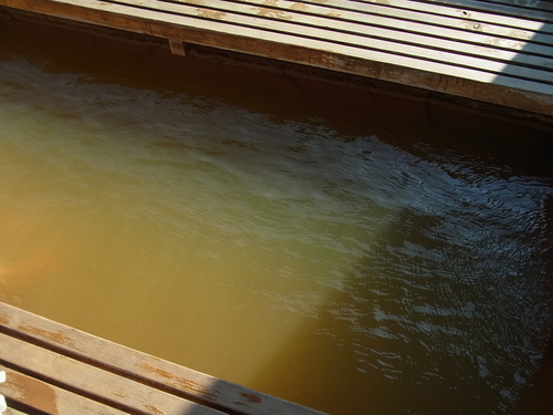 e0243008_16555390.jpg