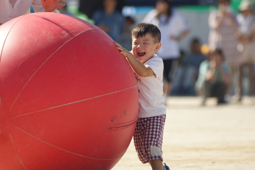 たろう君・じろう君の運動会_c0092610_14183445.jpg