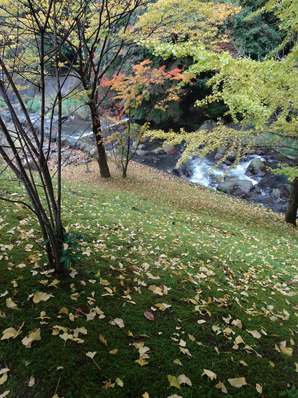 f0215410_0104936.jpg
