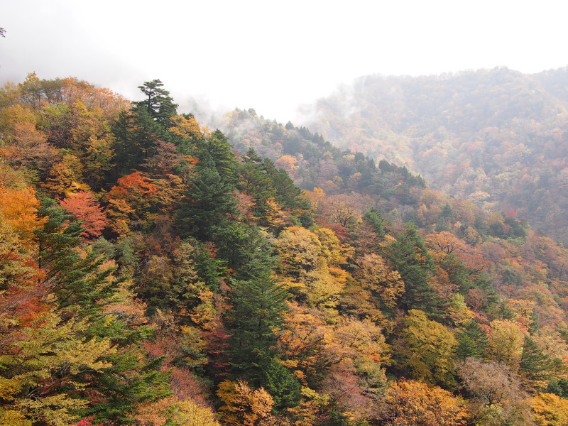 b0244811_23565244.jpg