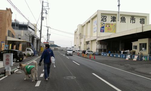 ロンの沼津ぶらり旅☆１泊２日inすいほう園_d0241911_1923912.jpg