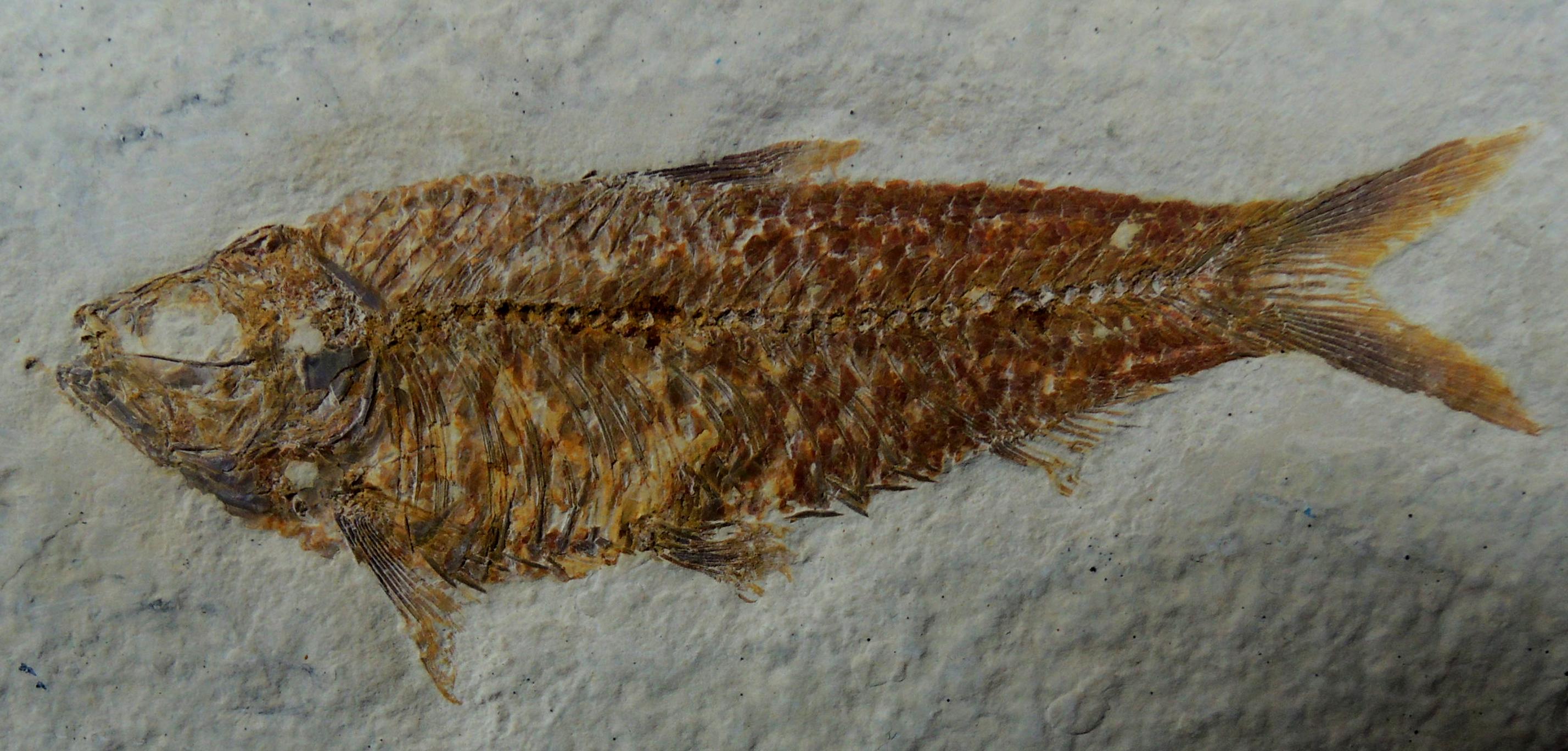 d0053616_14382742.jpg