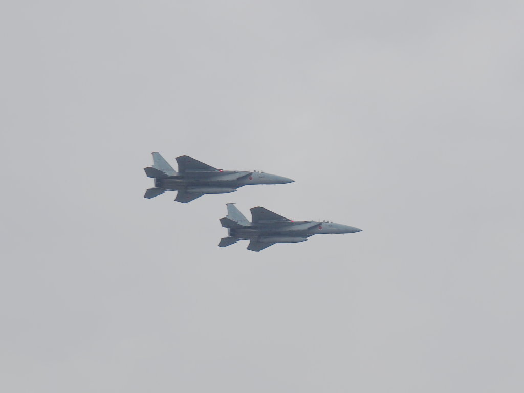 d0192516_1849629.jpg