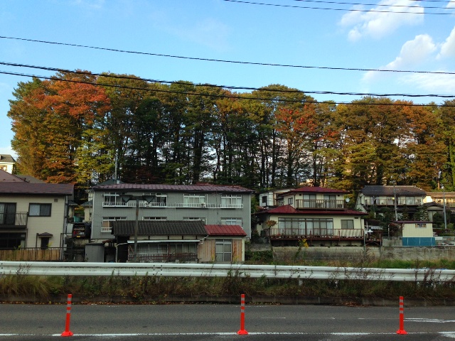 a0030217_17255372.jpg