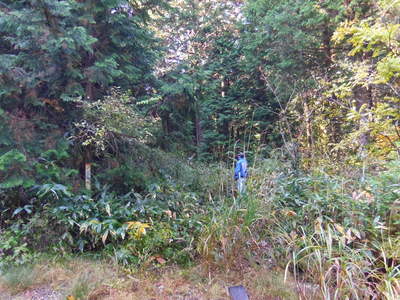 e0036217_23334063.jpg