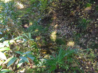 e0036217_2333527.jpg