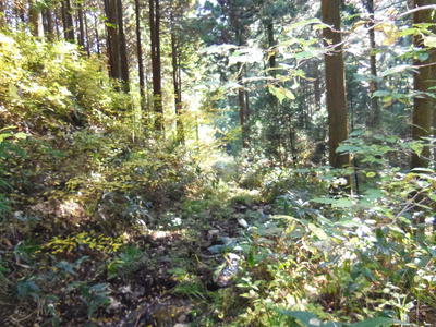 e0036217_23343981.jpg