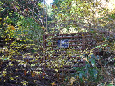 e0036217_23345325.jpg