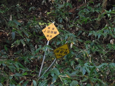 e0036217_23353992.jpg
