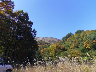 e0036217_23361031.jpg