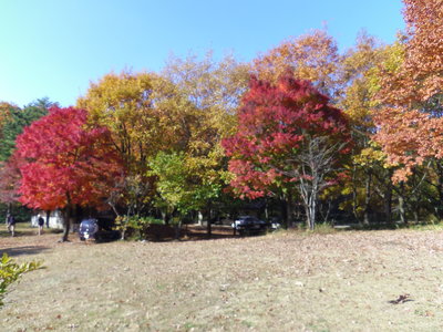 e0036217_2337249.jpg