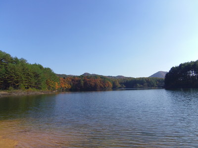 e0036217_23375034.jpg