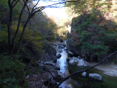 e0036217_2340315.jpg