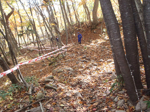 c0223419_11184492.jpg