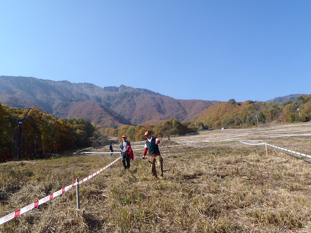 c0223419_11201016.jpg
