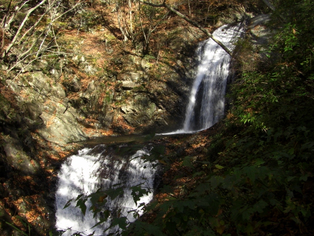 c0074721_1617318.jpg