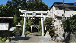 神足神社土塁　　２０１３・１１・７_f0000521_0282740.jpg