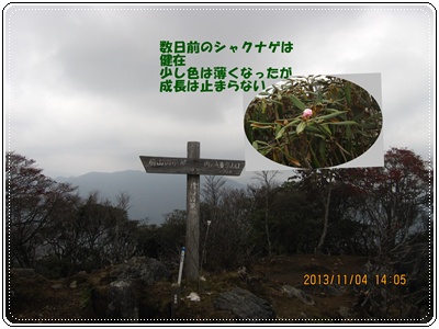 f0193521_11282476.jpg