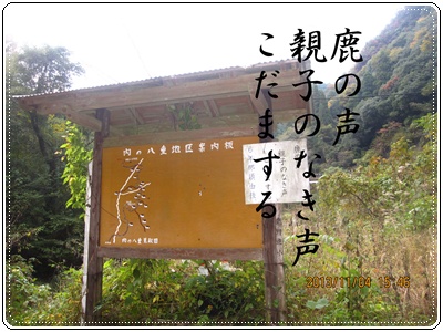 f0193521_11373846.jpg