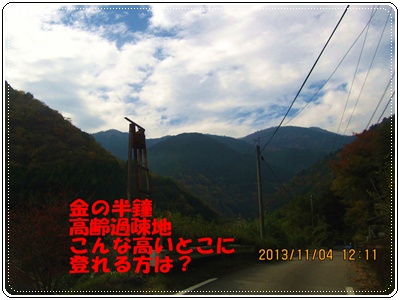 f0193521_1191196.jpg