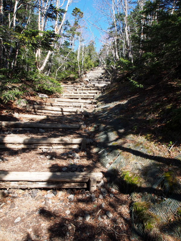 c0085622_202272.jpg