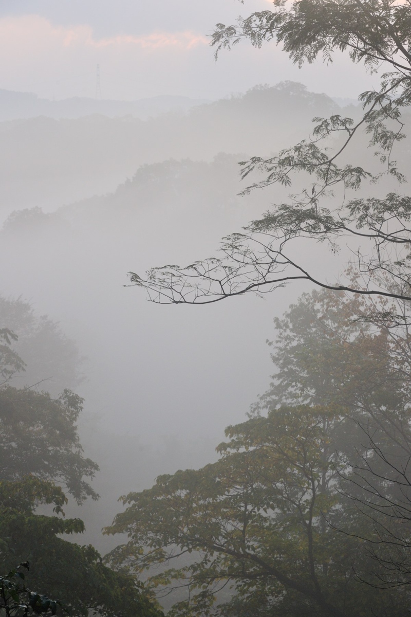 朝霧_c0220824_12583753.jpg